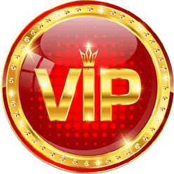 VIP Escorts In Chandigarh